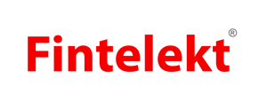 Fintelekt